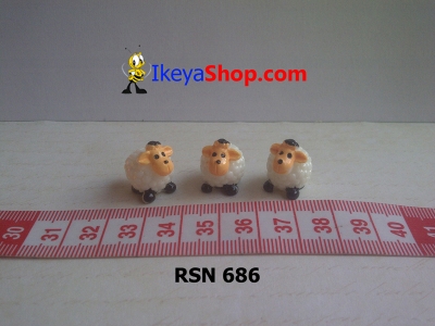 rsn 686  large2